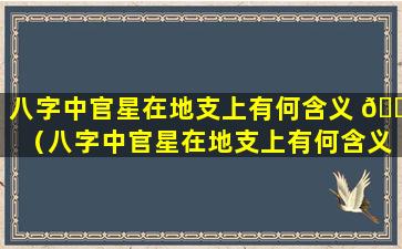 八字中官星在地支上有何含义 🐒 （八字中官星在地支上有何含义和作用）